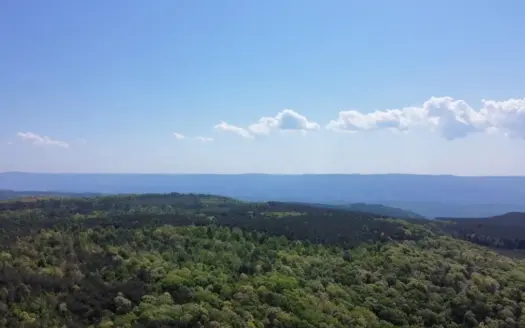 Rare 866± Acre Recreational & Hunting Property in Bledsoe County