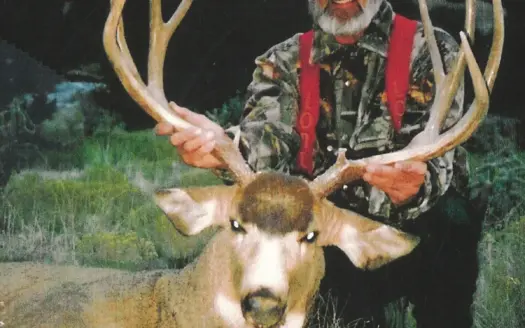 Outfitting business near Gunnison CO for sale–elk, deer, bear