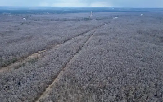 431± Acres with Calcasieu River Frontage in Calcasieu Parish