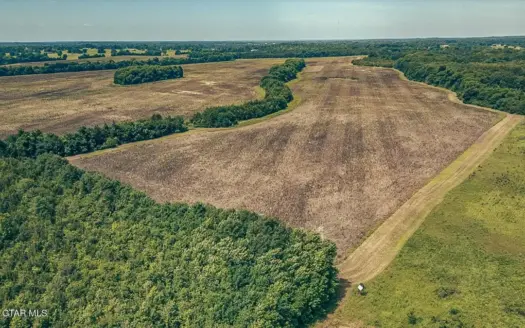 527 Acres Black Belt Prairie Clay County MS