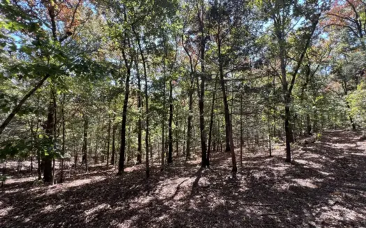 Wooded 8+/- Acre Property For Sale near Sulphur Rock, AR