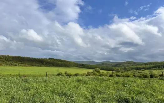 Farming or Hunting Land, Millerton Pa
