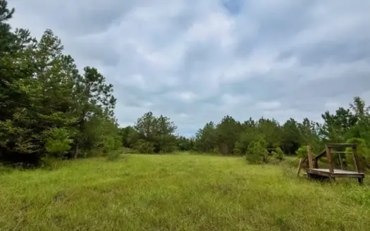3.6 Acres Near Cheraw State Park | Hwy 1 Frontage
