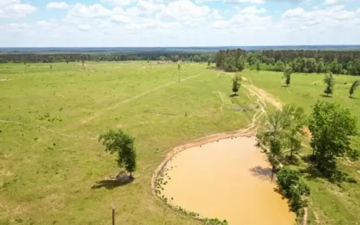 Pasture Land for Sale in Lincoln County, MS