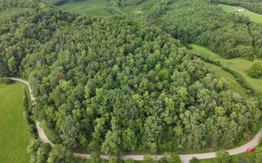 25 Acres± of land for Sell in Patrick County, VA