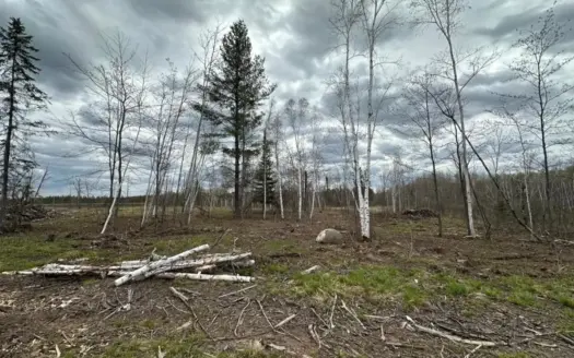 10 Acres of Prime Hunting & Build-Ready Land Near Kerrick