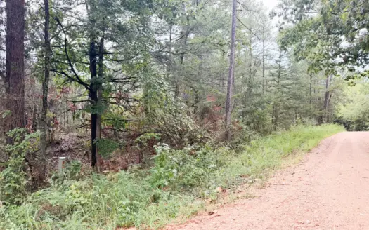 3 Acres for Sale in North Central Arkansas
