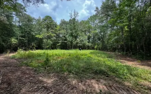30 Acres of Mature Timber for Sale in Pike County, MS