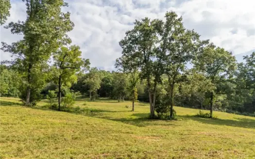 200 Acre Land with Creek, Timber and Wildlife, For Sale Omaha, Ar