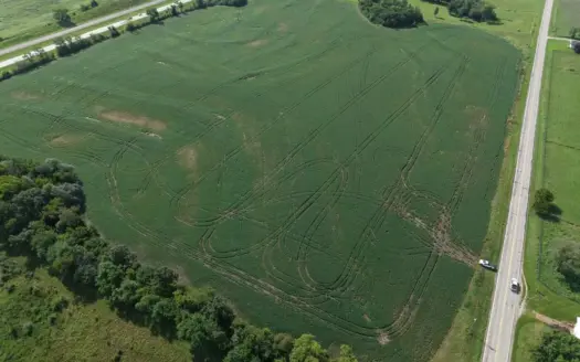 40 Acres Row Crop Farm/Building Site