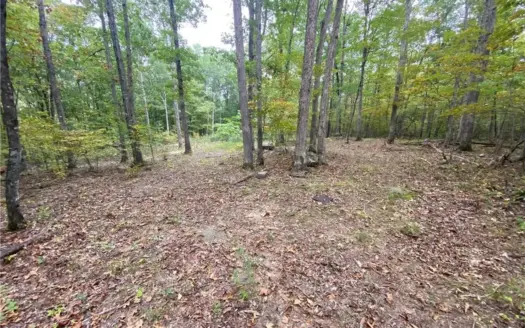 39.75 Newton County Hunting Land/Timber Property For Sale Low Gap