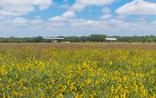 Turnkey Gouldbusk TX Hunting Ranch with Lodge, Pool and Ponds