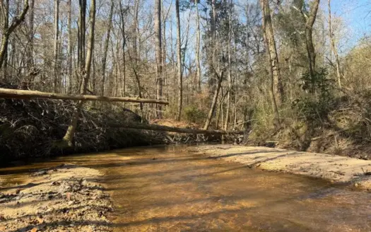 Land for Sale in Simpson County