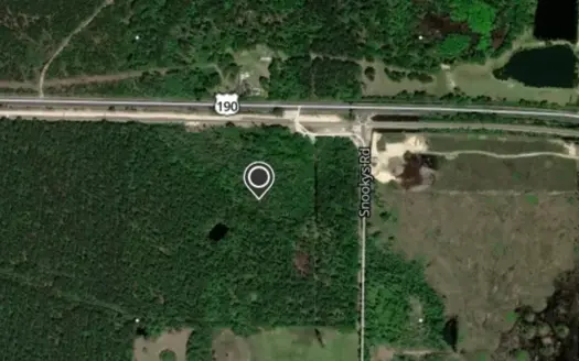 40 Acres of wooded property Hunting , Timber