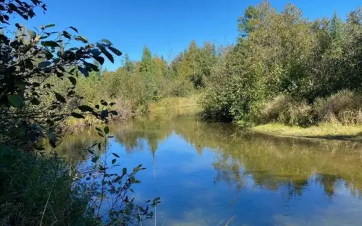 Thunder Bay Property 4.28 Acres in Atlanta MI