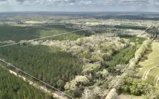 122-Acre Recreational Land in Holmes County, FL for Sale