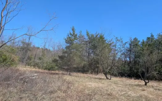 Vacant Land in Avery Township near Atlanta, Michigan 3.43 Acres