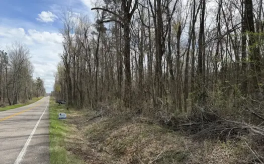 Wooded Land For Sale In Hardin County Tn