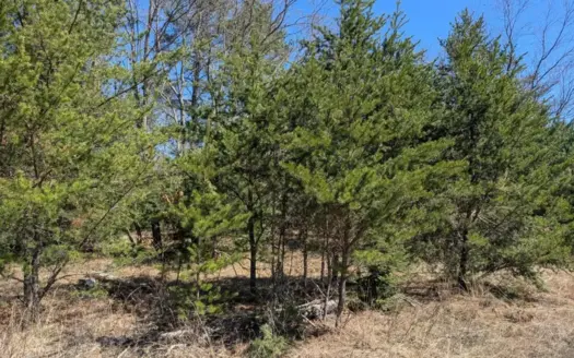 Acreage for sale 7.9 Acres – Parcel 4 in Atlanta MI