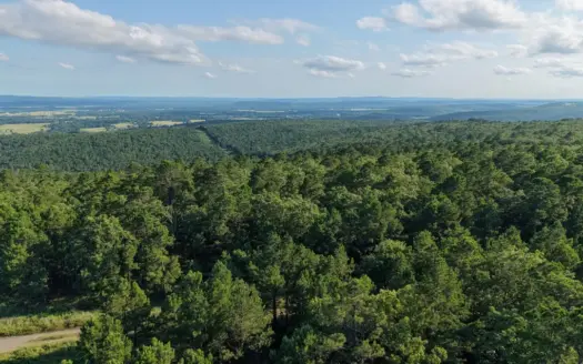 70 Acre Hunting Property FOR SALE