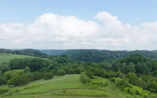 Driftless Ridgetop Retreat Vacant Land