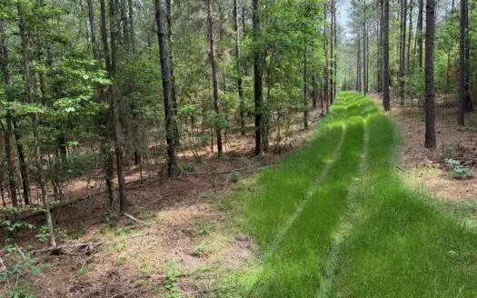 Hunting land with a Camp on Saline Lake Winn Parish LA