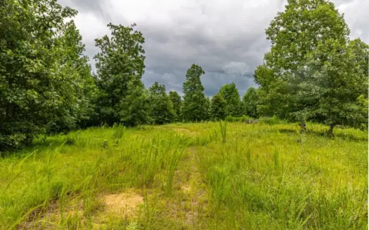 Land for Sale in Lewis County, Tennessee