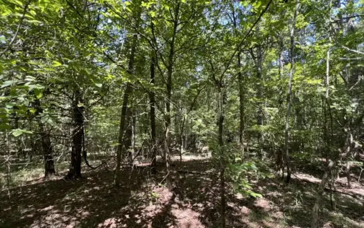 16.5+/- Wooded Acres For Sale near Okolona, AR in Clark County