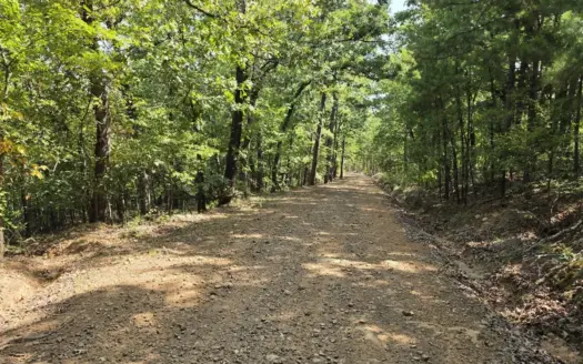 Walker Mountain Land & Cabin Site Adjoining National Forest