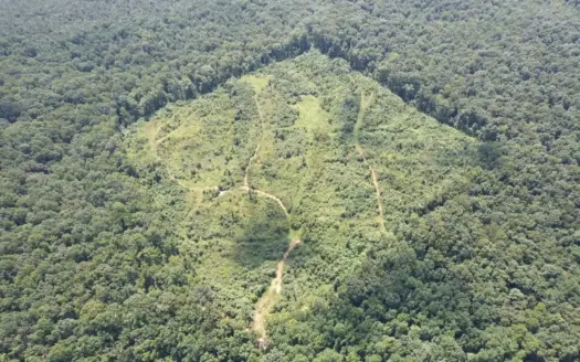 Prime Deer & Turkey Land – 41 Acres