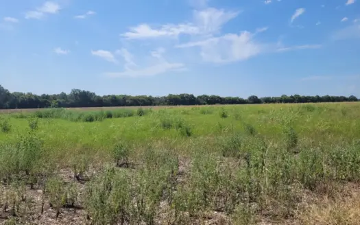 Open Country Acreage, Clarksville, TX, Red River Co, NE TX