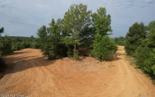 90± Acre Hunting Tract for Sale in Meadville, MS