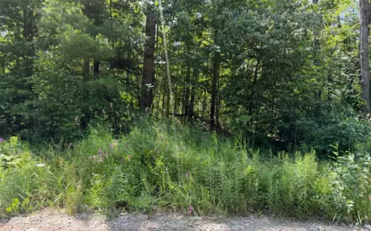 Wooded Property Johannesburg MI – 30 Acres for Sale