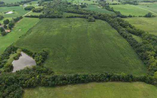 Land for Sale – 32.5 Acres near Denver, MO