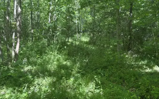 Land For Sale in Knox County, White River bottoms