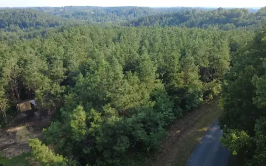 Land for Sale in Perry County, Tennessee