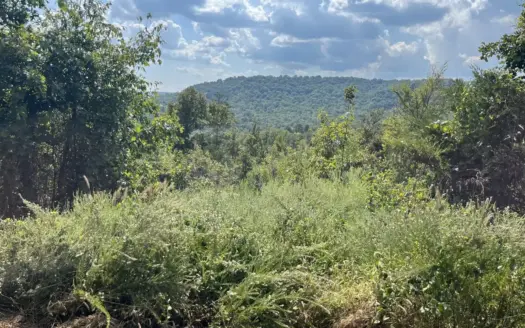 Land for sale in Searcy County