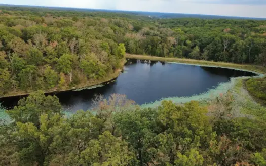 101± Acre Hunting Property with Stocked Lake, Open Timber