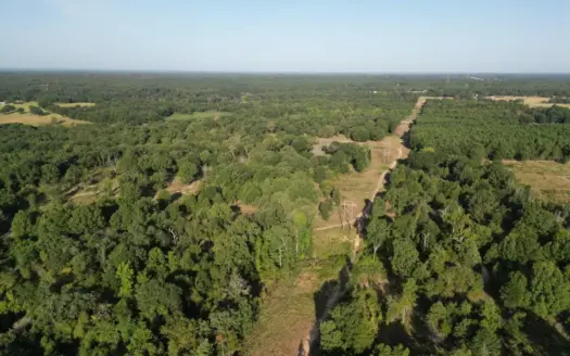 70 ± Acre Hunting Property for Sale Near Antlers, Oklahoma