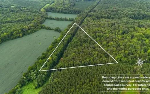 Saxe Hunting Retreat: 13.91± Acres with Cabin