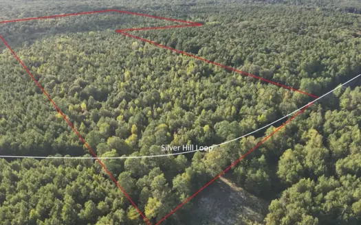 Pine Timberland W/ Road W/ Creek Area For Sale near Smackover, AR