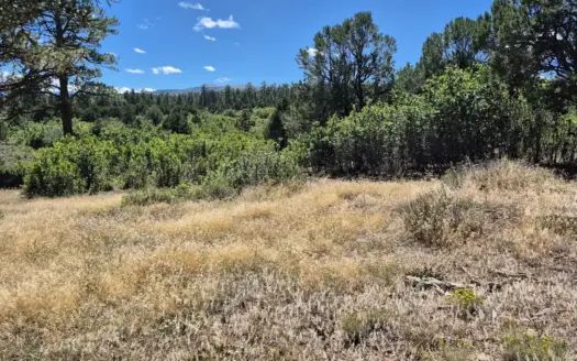 Colorado Hunting Land For Sale