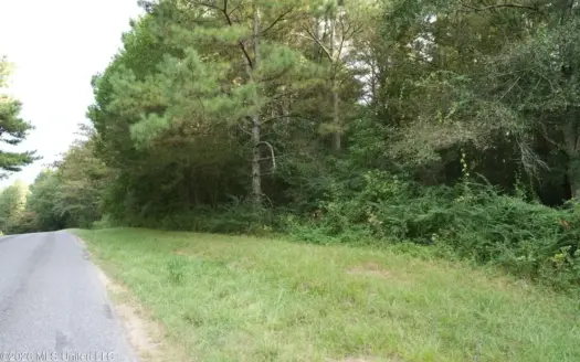14 Acres for Sale Near Louin MS | Jasper County Land