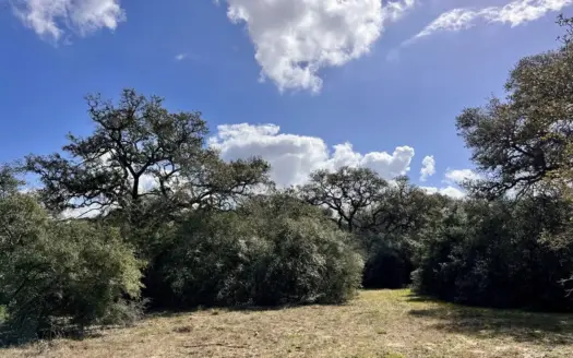 Land for Sale in Garwood, TX – Unrestricted, Wooded, Live Oaks
