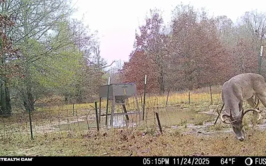 200 ± Acres with Lake Frontage for Sale in Soper, Oklahoma