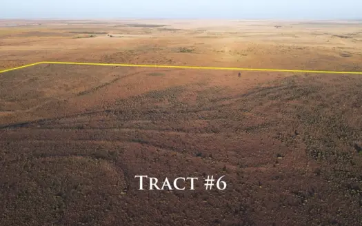 Tract 6 – 177+/- Acres in Bailey County, Texas