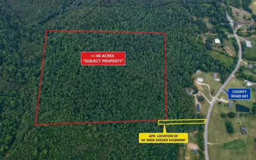 Great Hunting Land w/ Timber Near Booneville, Mississippi