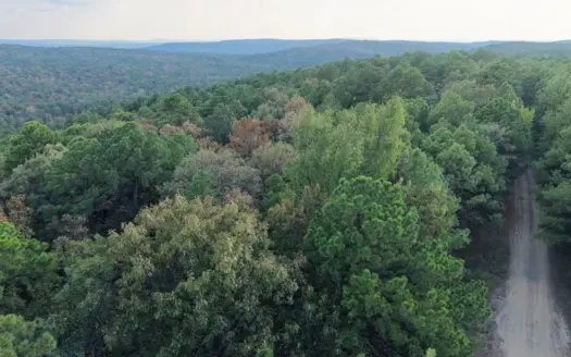 8 Acre Hunting Property on San Bois Mountains