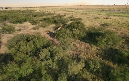 320 Acres Hunting /Ranch Property in SW Oklahoma