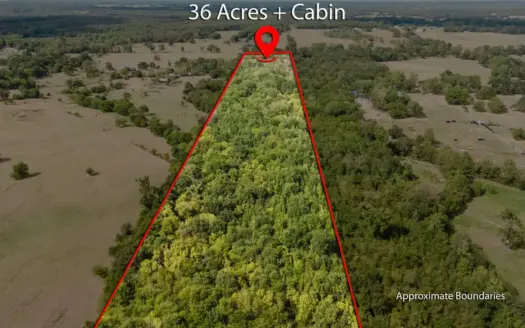 37± Acres of Wooded Land in Winnsboro Texas Franklin County